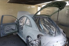Beetle 1