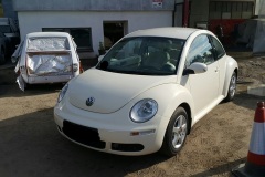 Beetle 3